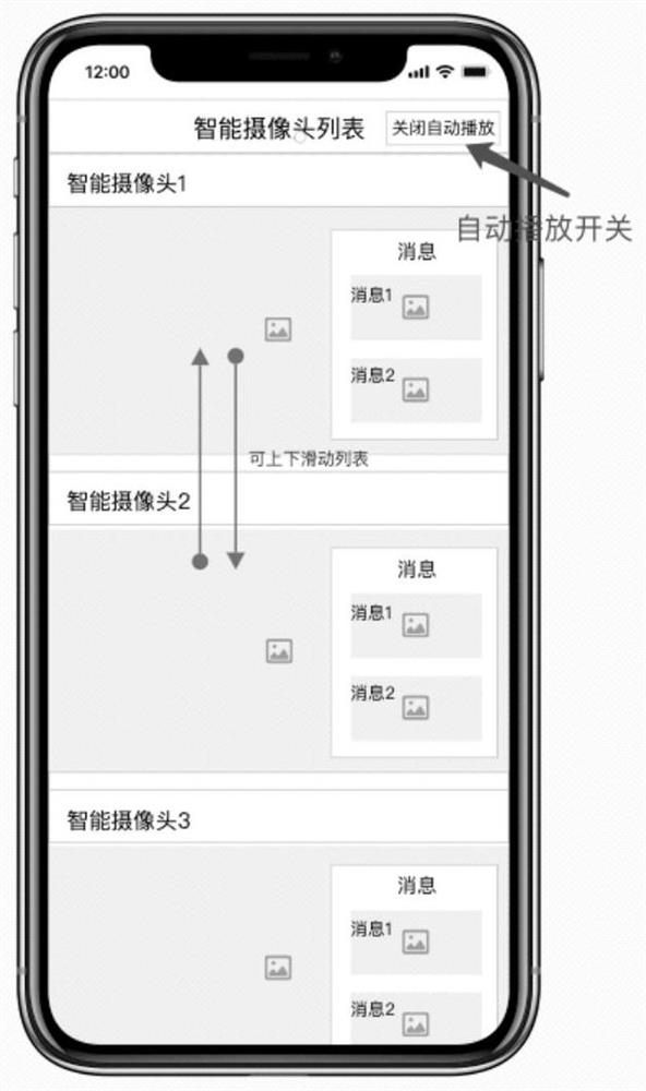 Multimedia information playing method and device, storage medium and electronic device