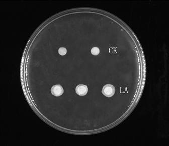 Lactobacillus acidophilus La-SJLH001 with probiotic function of regulating blood sugar and cholesterol level and application thereof
