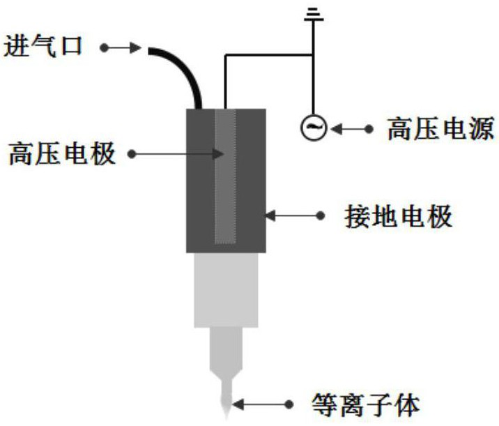 A kind of plasma-activated lactic acid solution with high antibacterial performance and its preparation method and application