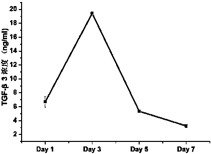 Method for inducing directed cartilage differentiation of stem cells