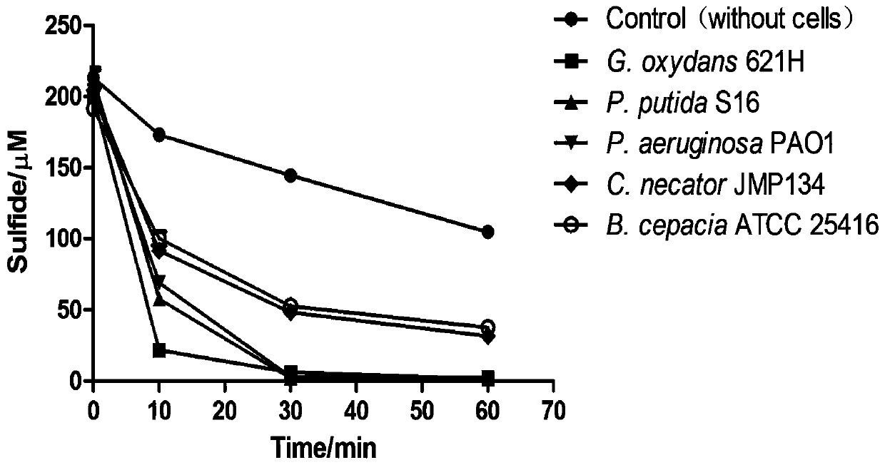 A kind of method utilizing heterotrophic microorganism to remove hydrogen sulfide