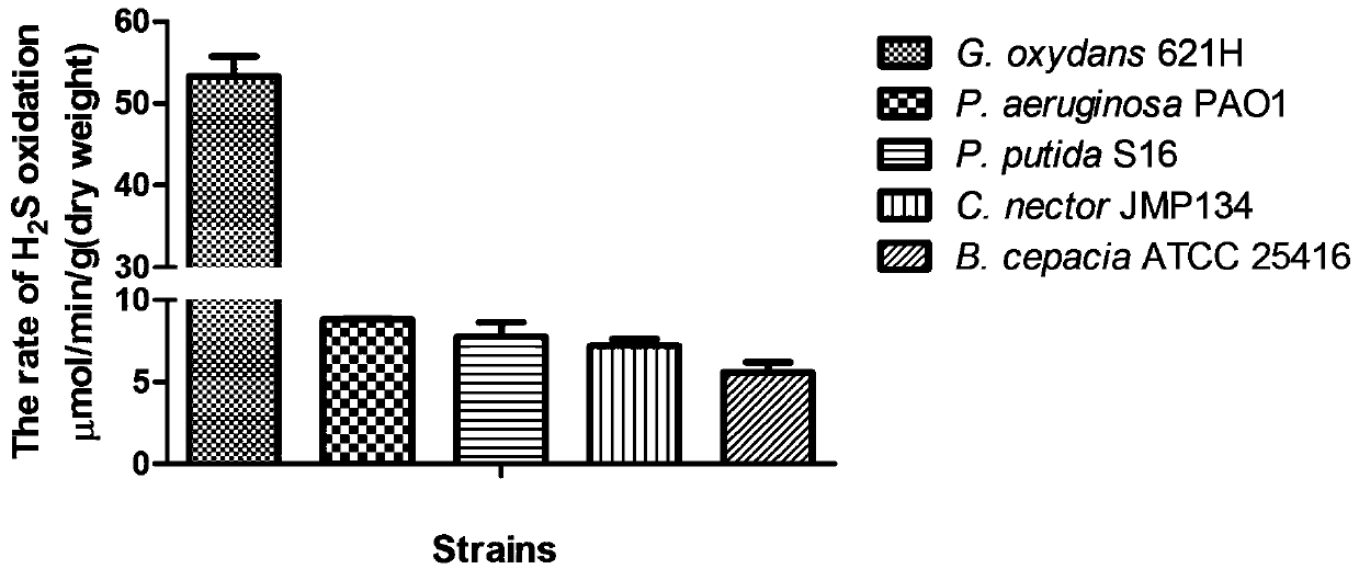 A kind of method utilizing heterotrophic microorganism to remove hydrogen sulfide