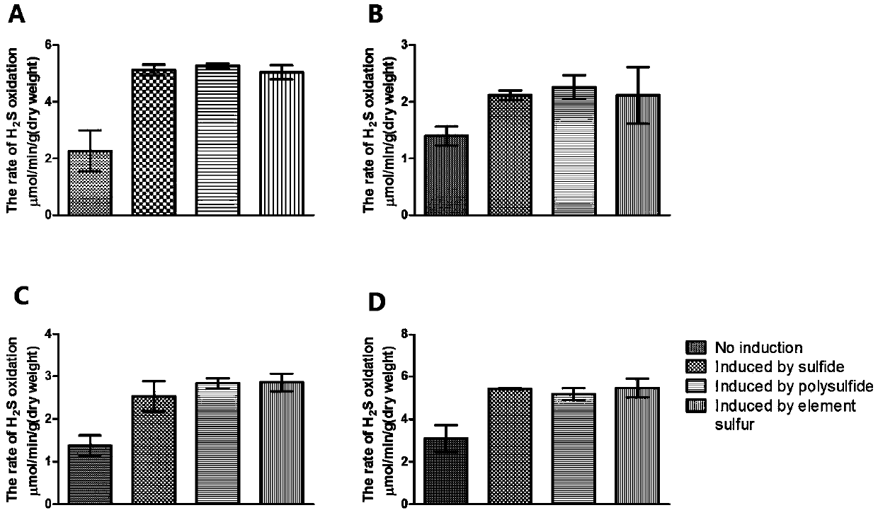 A kind of method utilizing heterotrophic microorganism to remove hydrogen sulfide