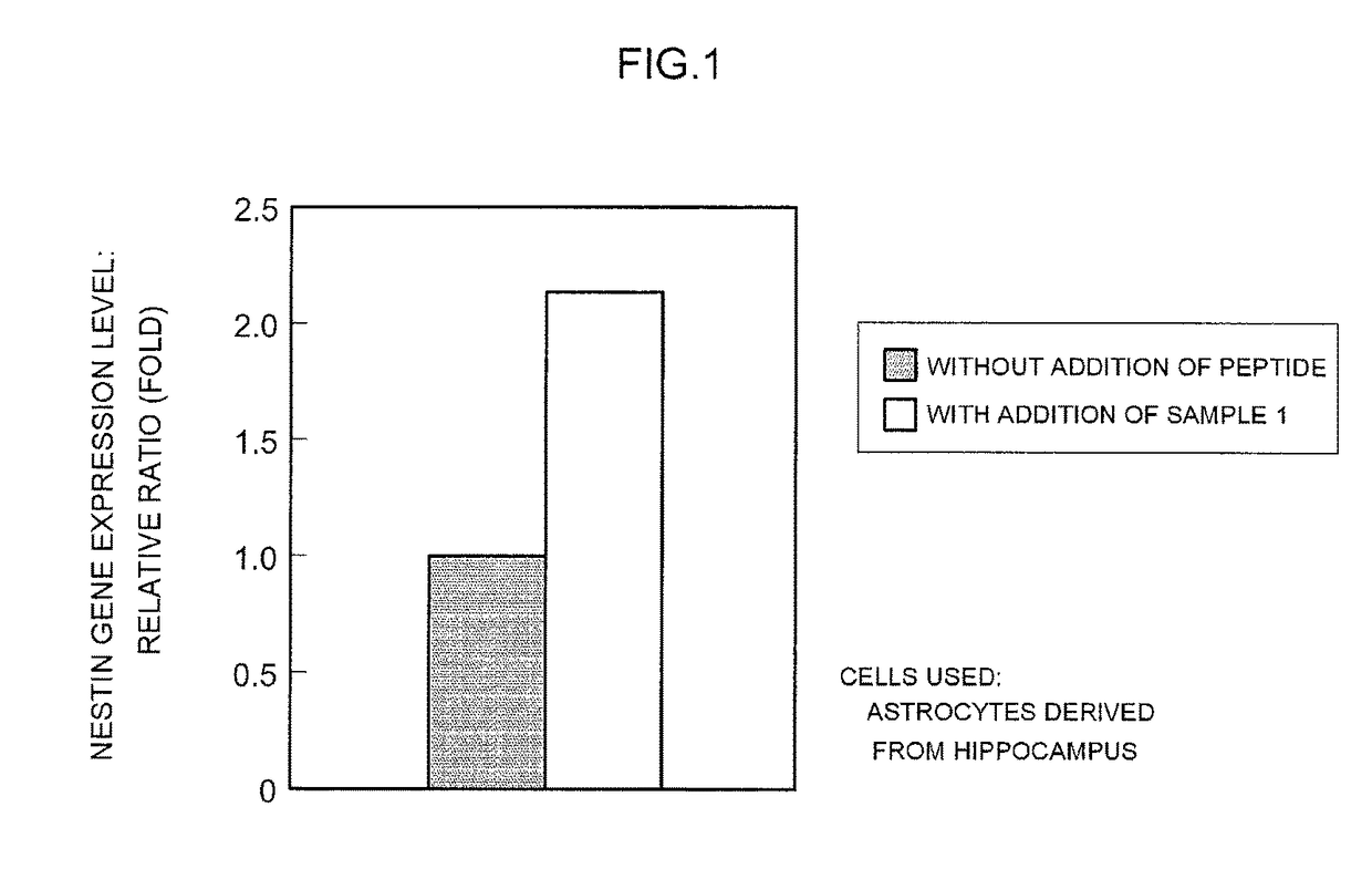 Methods for inducing nestin expression of astrocytes by nestin-inducing synthetic peptides derived from the BC-box of the SOCS6 protein