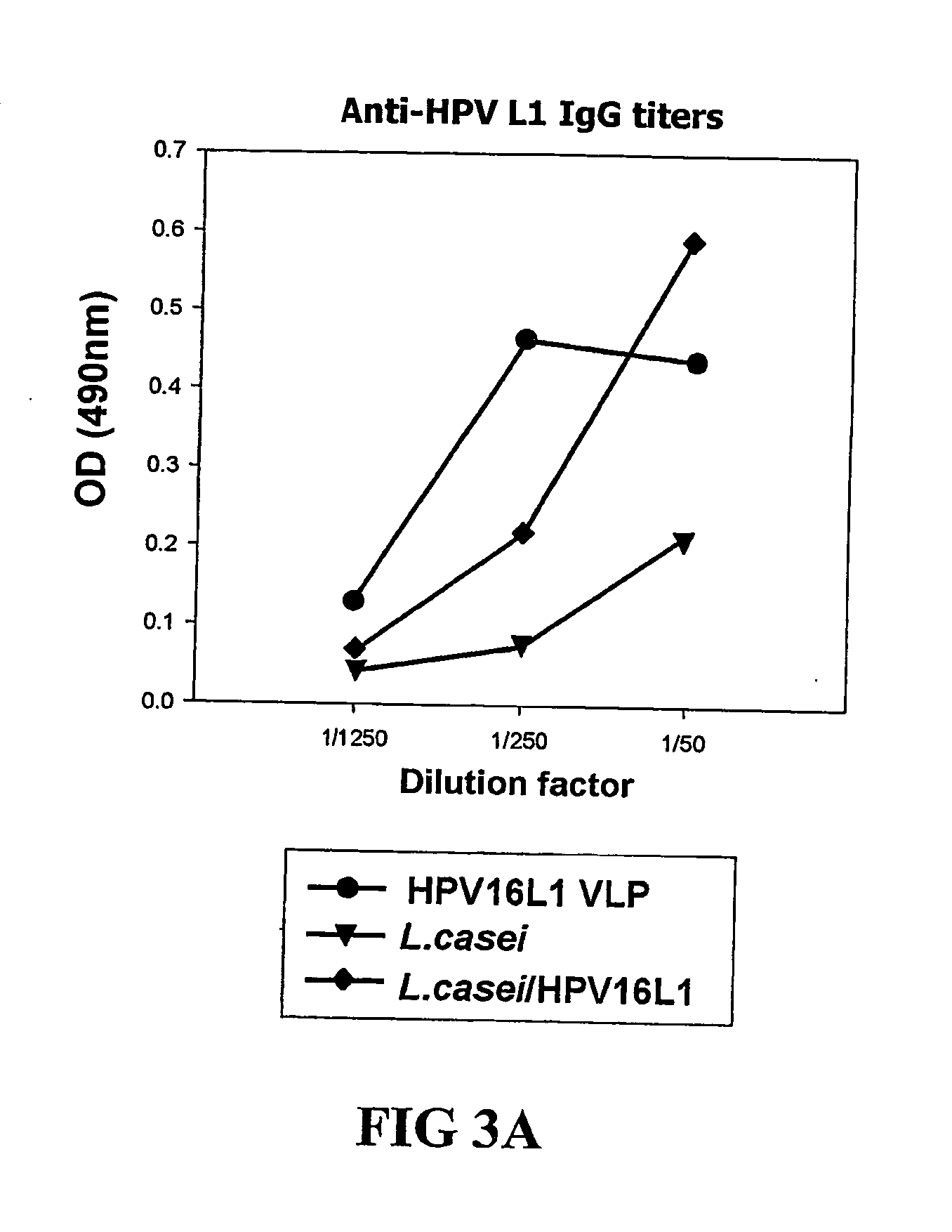 Vector for anti-hpv vaccine and transformed microorganism by the vector