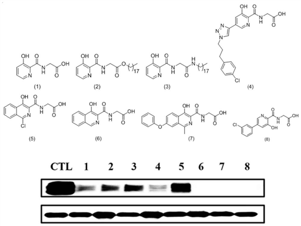 Anti-tumor drug sensitizer based on N-(3-hydroxypyridine-2-carbonyl) glycine and application thereof