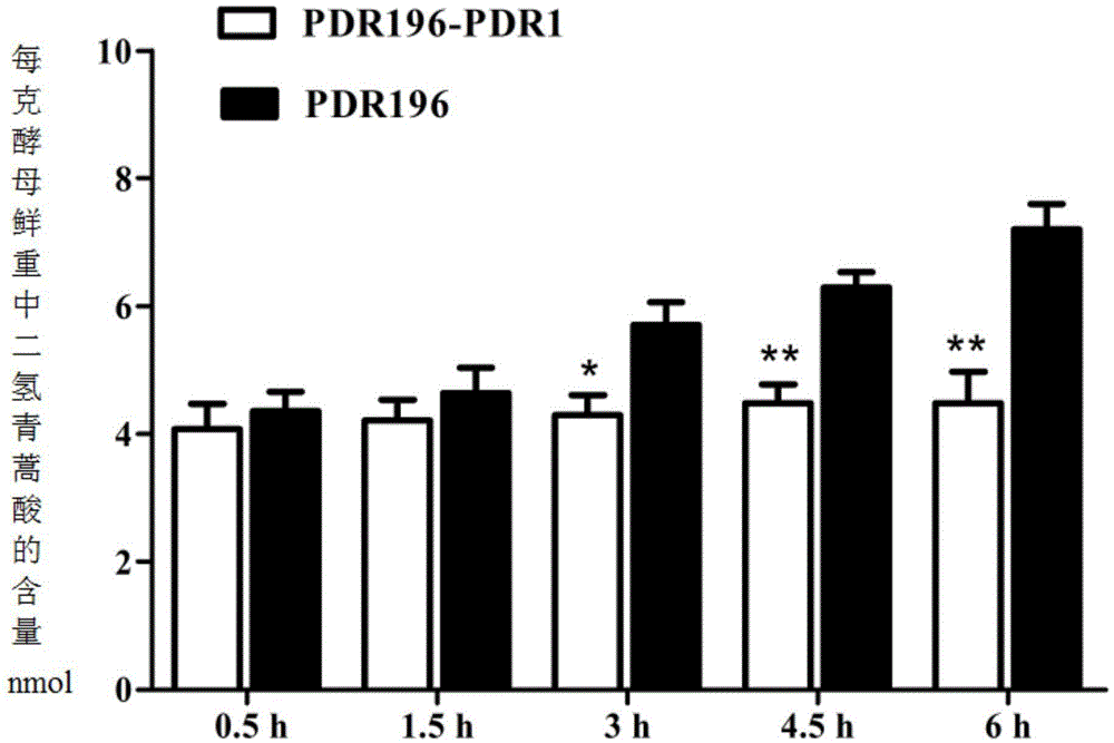 Artemisia annua L. PDR sub-family transport protein and functional verification method and application thereof