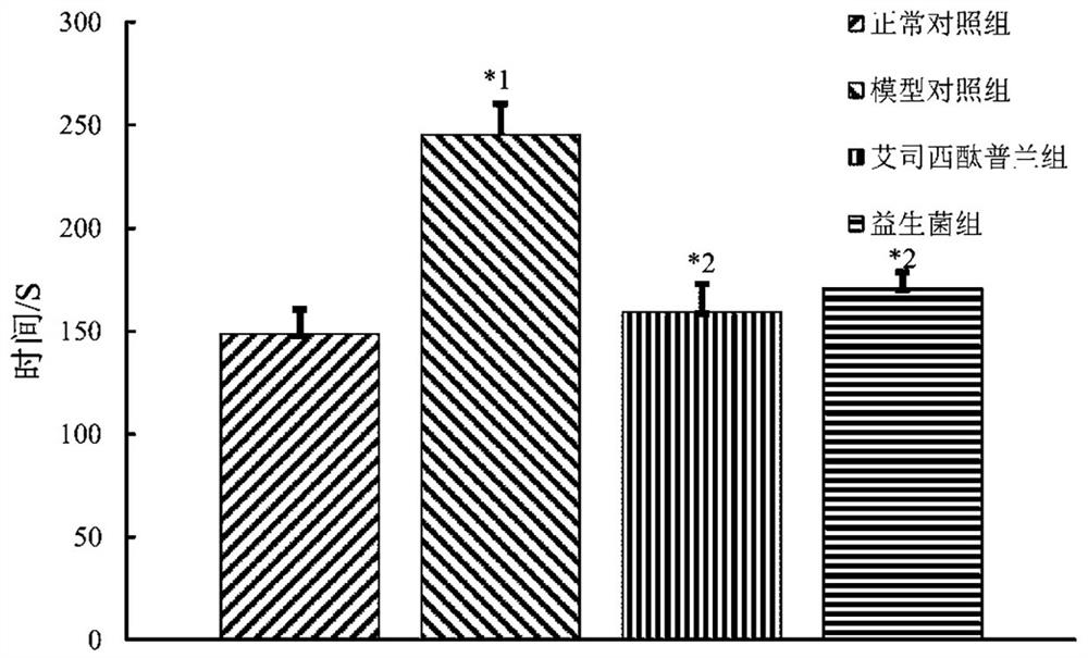 Bifidobacterium bifidum bxm0 and its application