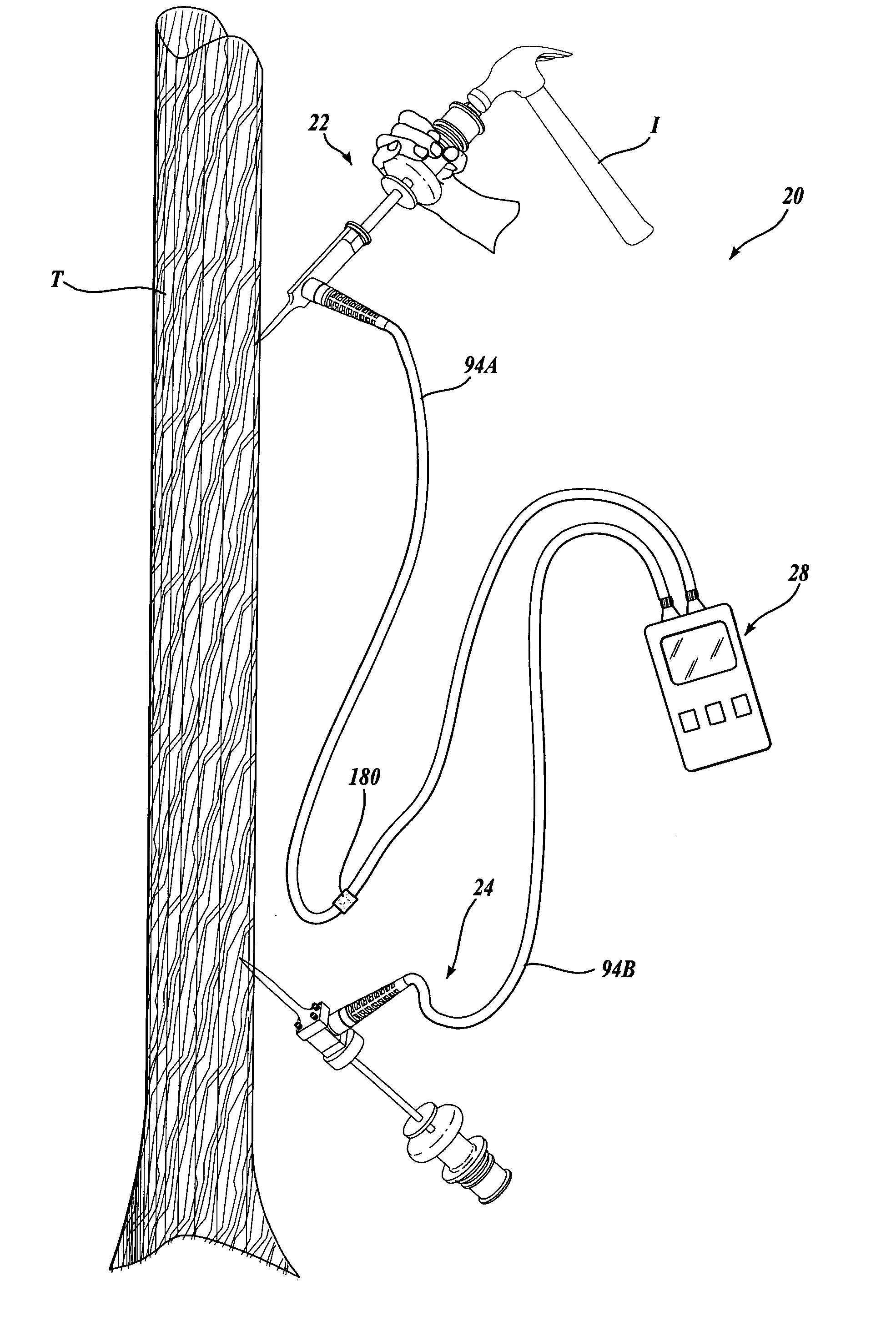 System and method for measuring stiffness in standing trees
