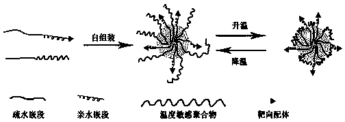 A preparation method of intelligent targeted drug-loaded composite micelles