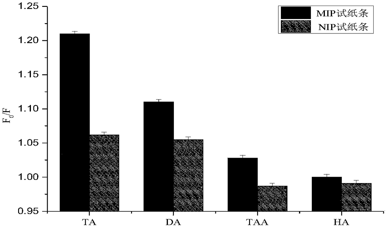 Carbon dot-molecularly imprinted test strip for detecting tyramine as well as preparation method and application