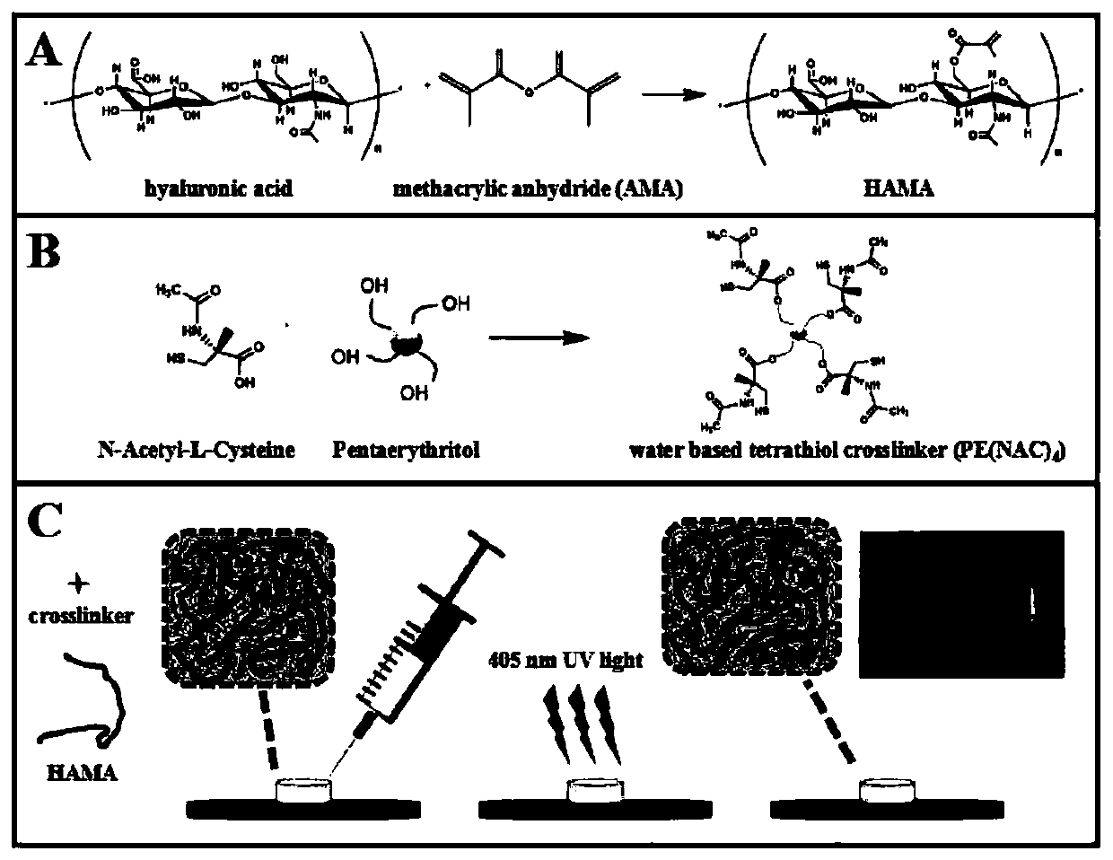 Preparation method and application of ultraviolet-cured hyaluronic acid hydrogel with adjustable crosslinking degree