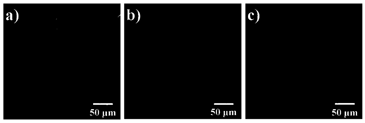 Preparation method and application of ultraviolet-cured hyaluronic acid hydrogel with adjustable crosslinking degree