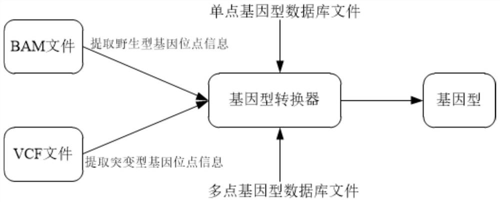 Genotype conversion method, device and electronic equipment