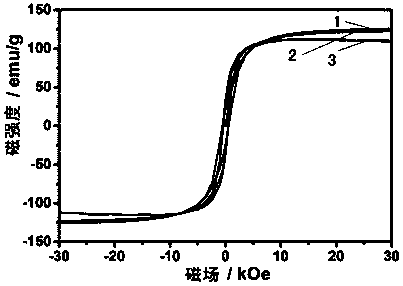 fe  <sub>5</sub> c  <sub>2</sub> Application of Nanoparticles in Preparation of Bioimaging Probes