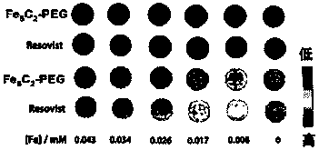 fe  <sub>5</sub> c  <sub>2</sub> Application of Nanoparticles in Preparation of Bioimaging Probes