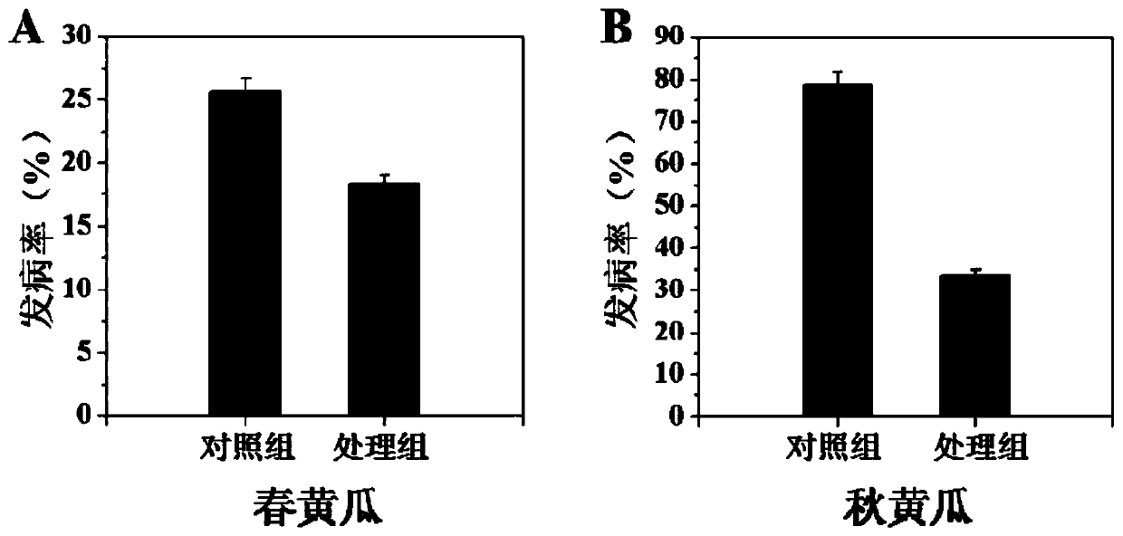 Cadmium pollution-continuous cropping obstacle facility agricultural soil production and remediation method