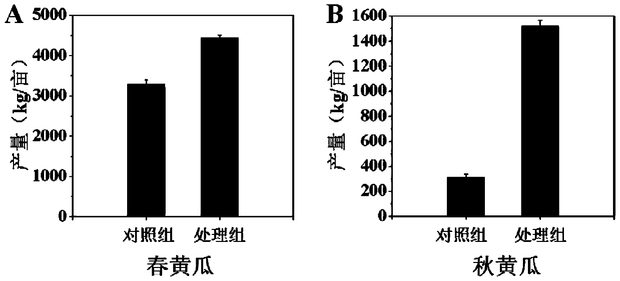 Cadmium pollution-continuous cropping obstacle facility agricultural soil production and remediation method