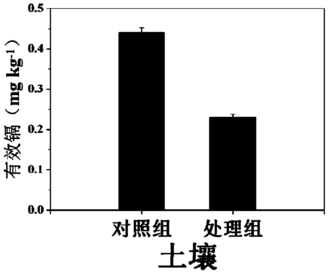 Cadmium pollution-continuous cropping obstacle facility agricultural soil production and remediation method