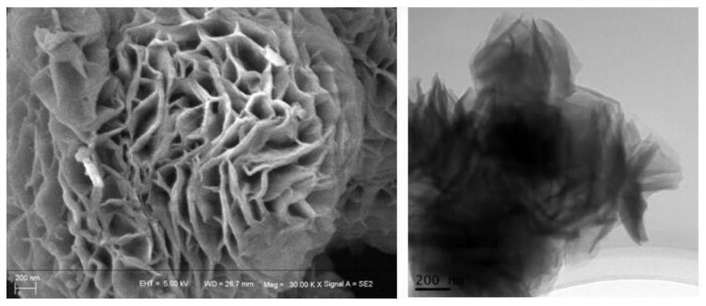 Application of layered double metal hydroxide gas sensor in detection of ethanol