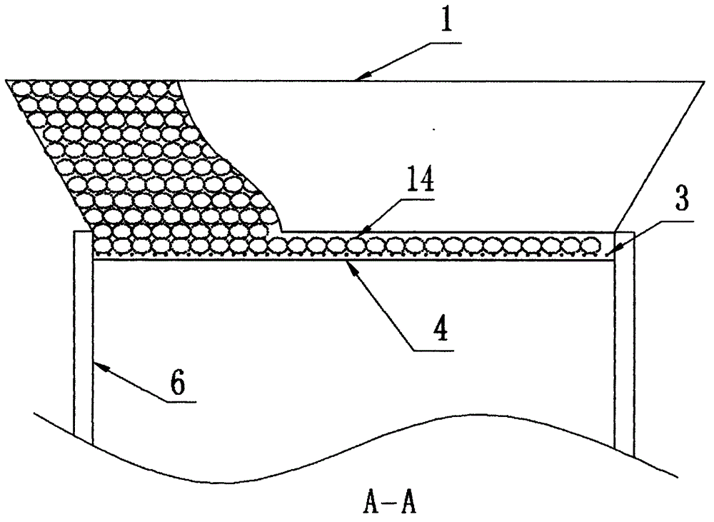 Fruit cooking machine