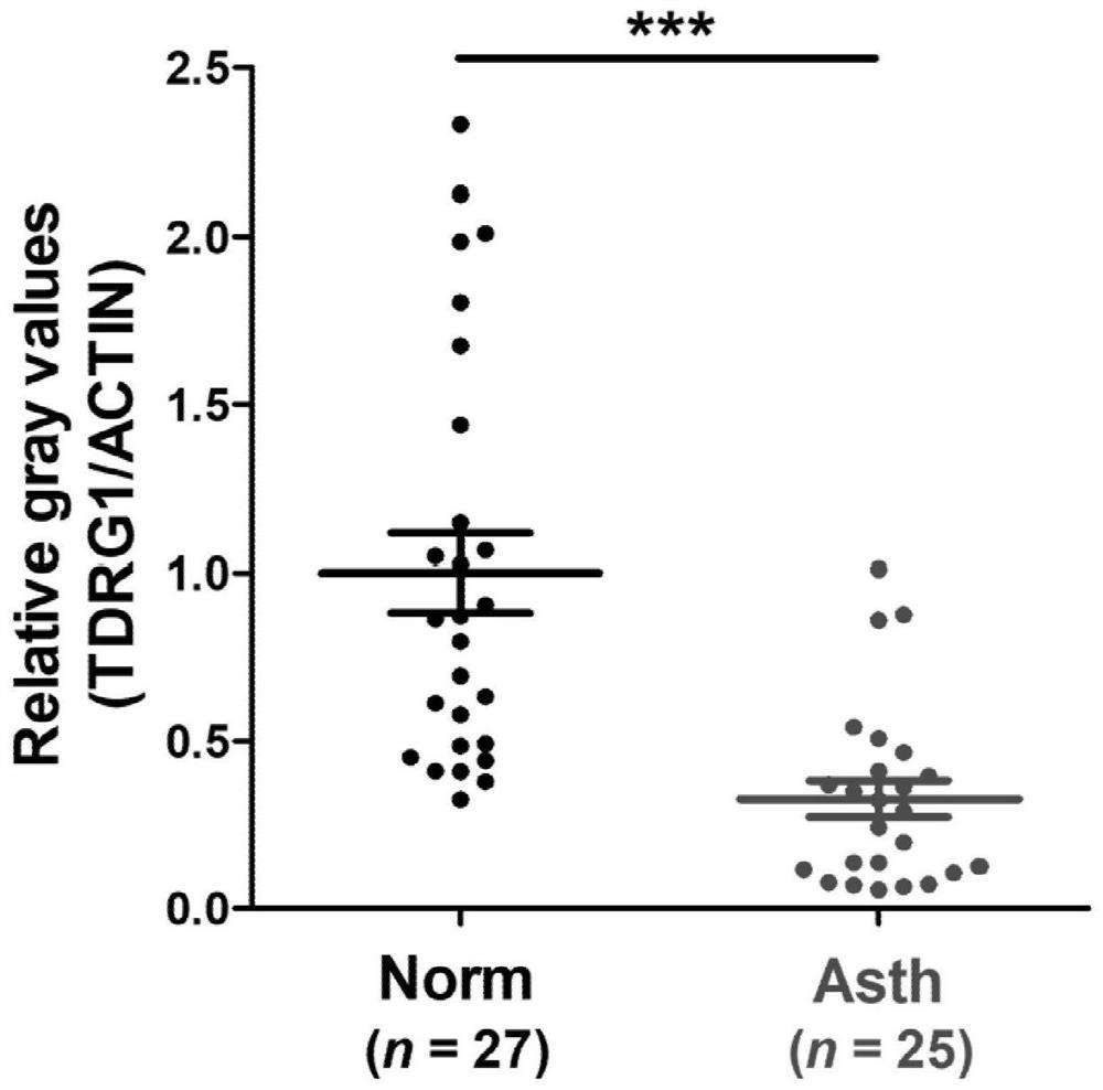 A biomarker for the diagnosis of asthenozoospermia