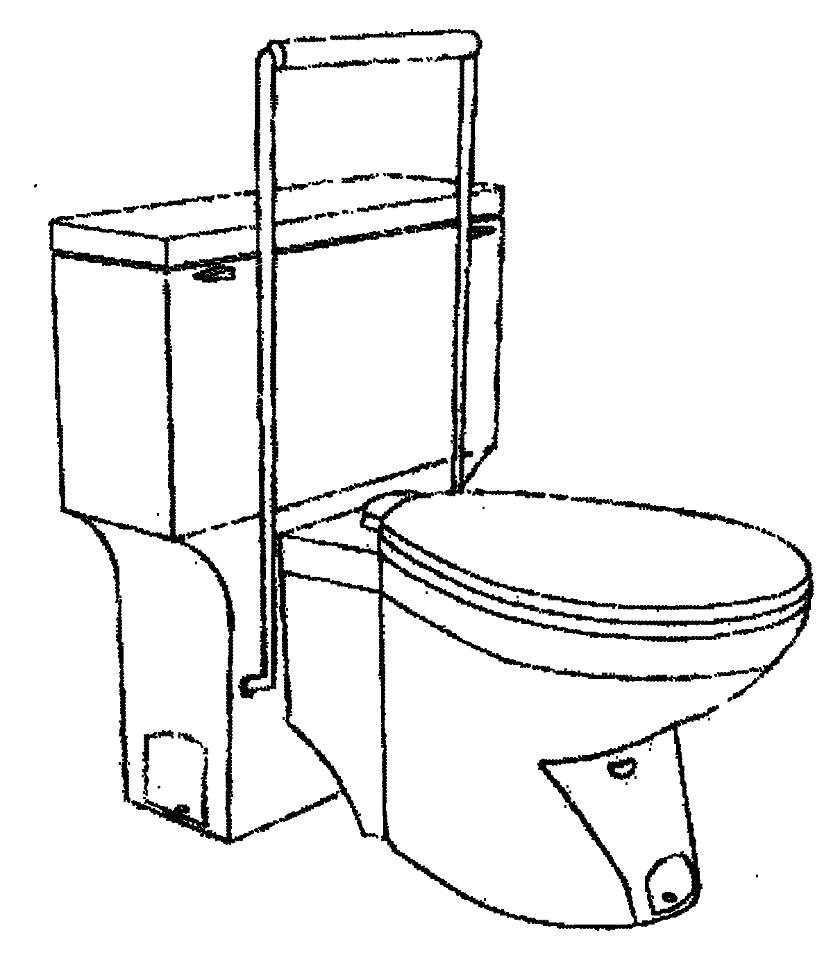 Toilet for handicapped