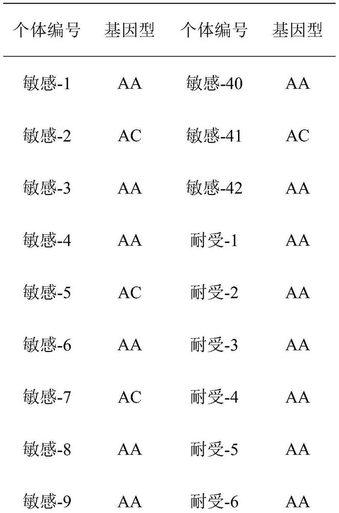 A kind of SNP marker related to high alkalinity resistance of Litopenaeus vannamei, detection primer and its application