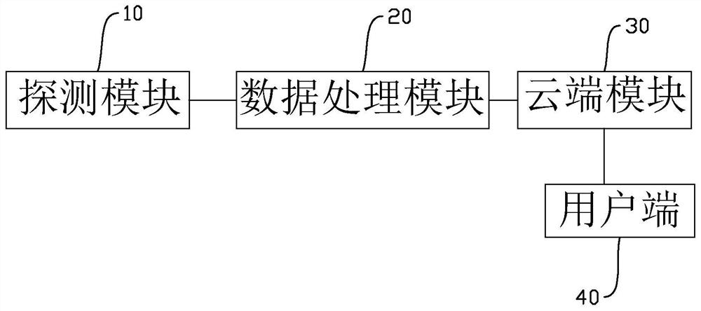 Termite detection system and detection method