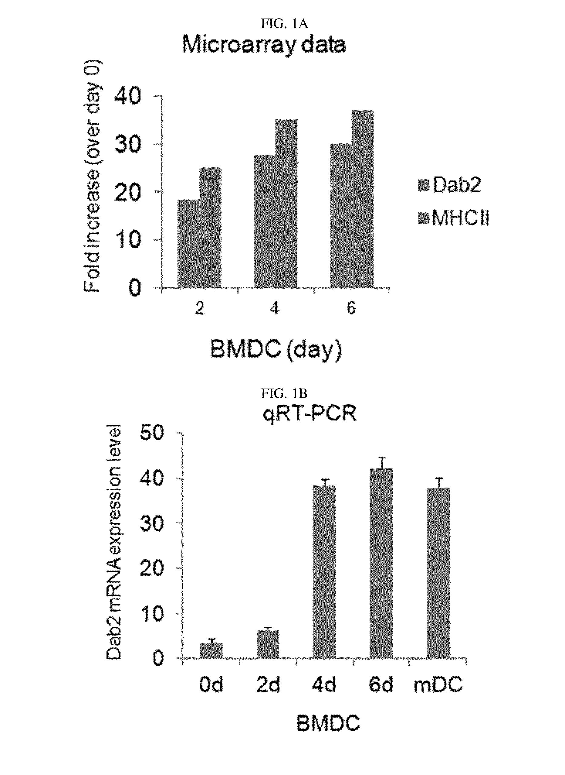 Pharmaceutical composition for preventing or treating cancers comprising dendritic cells with dab2 gene silenced