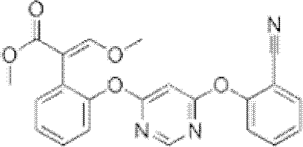 Insecticide/bactericide composition containing dinotefuran and azoxystrobin and application thereof