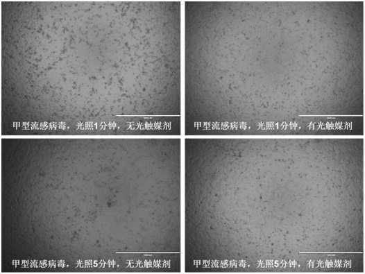 Photocatalyst sterilization disinfectant based on Ag and N co-doped titanium dioxide/silver nitrate as well as preparation method and application of photocatalyst sterilization disinfectant