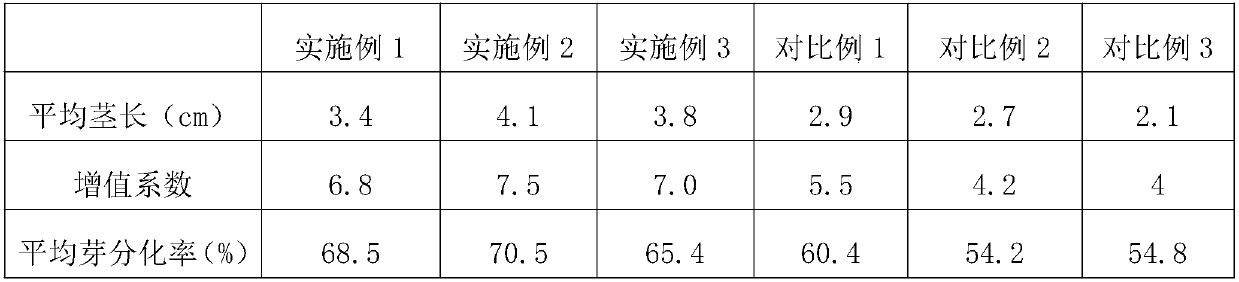 Tissue culture rapid propagation method of cymbidium floribundum