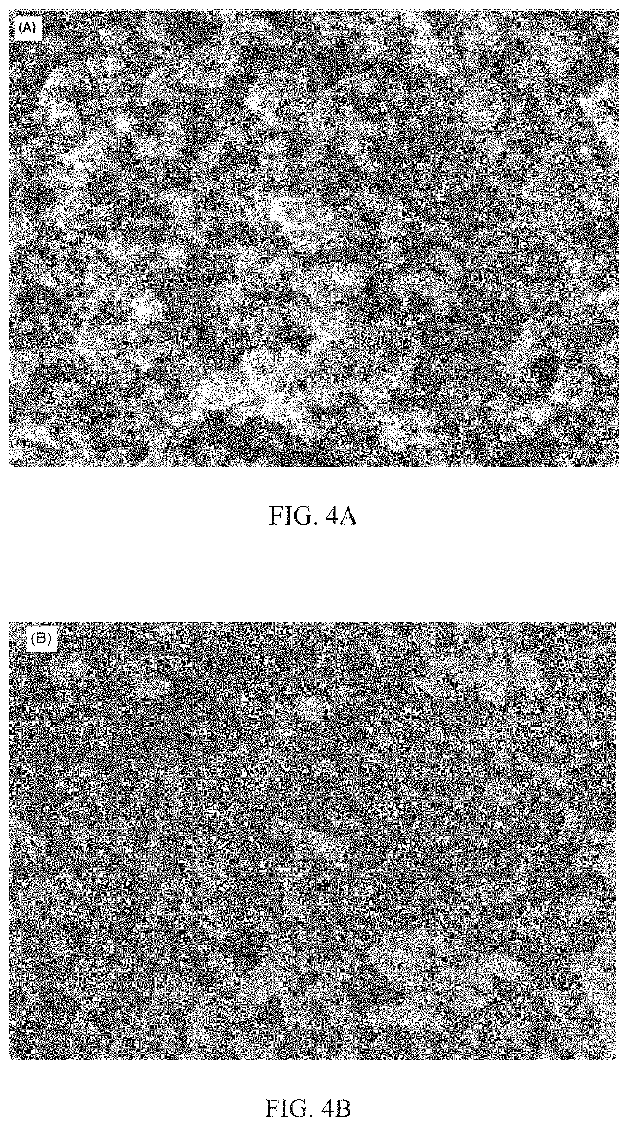 Marine natural products-based TiO<sub>2 </sub>nanoparticles as antifouling agents