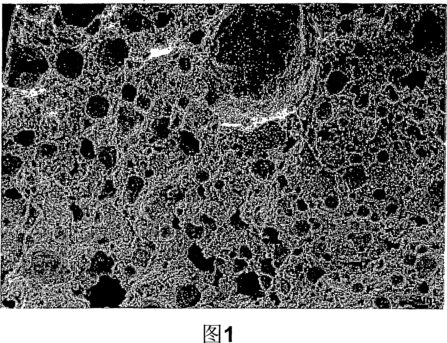 Porous particulate material for fluid treatment, cementitious composition and method of manufacture thereof