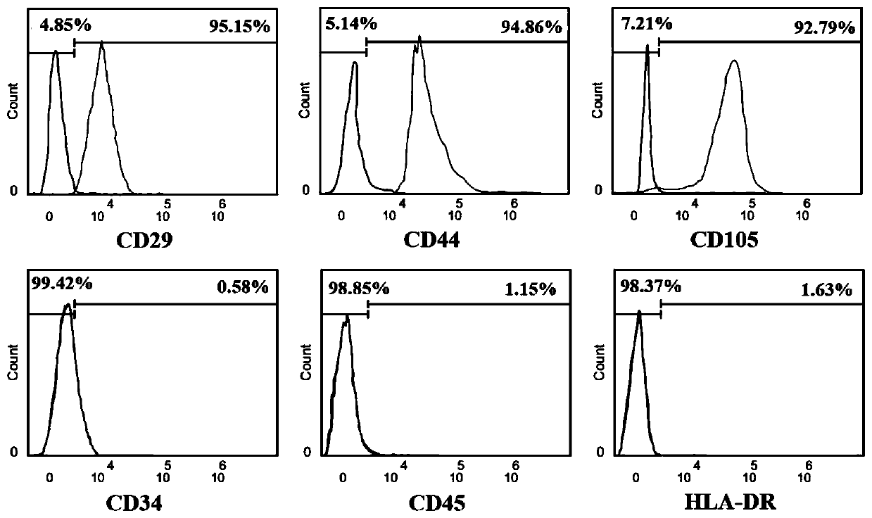 Applications of glycyl tyrosine condition culture medium in cryopreservation of mesenchymal stem cells and preparation of commercial cryopreservation protection agents