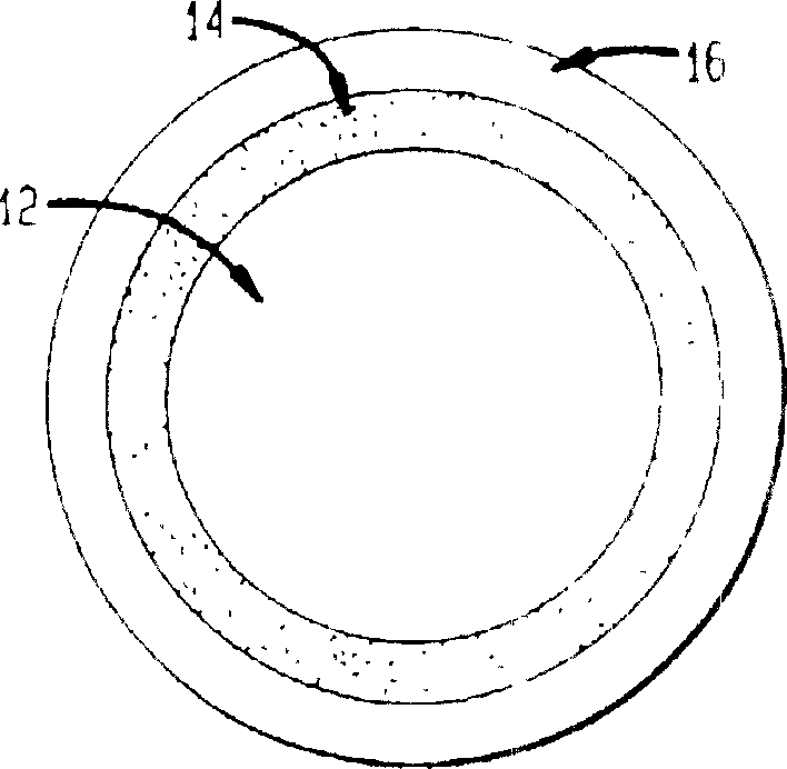 Intravaginal rings with insertable drug-containing core