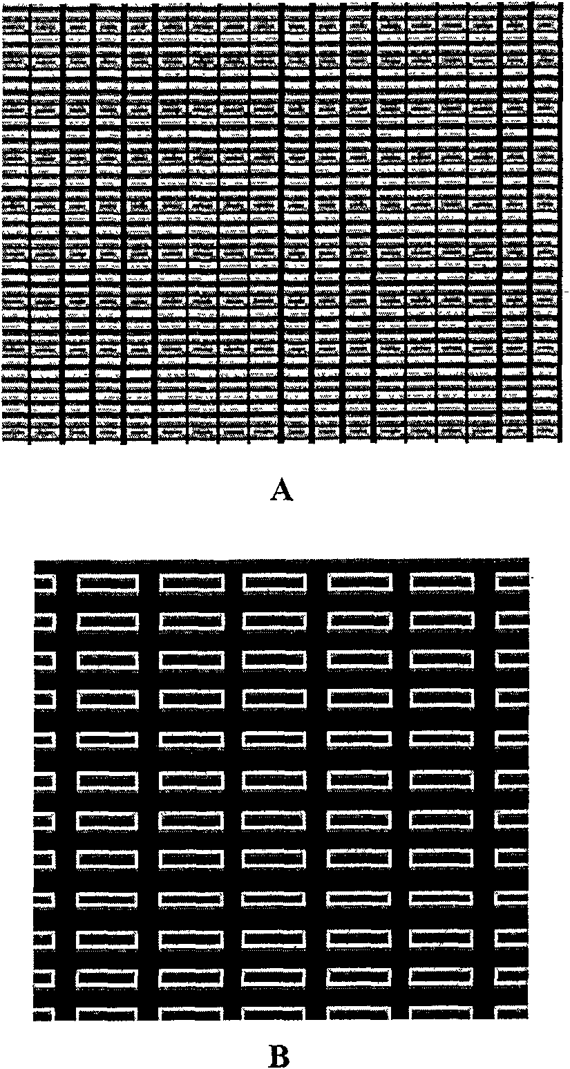 Bionic dermis and preparation method and application thereof