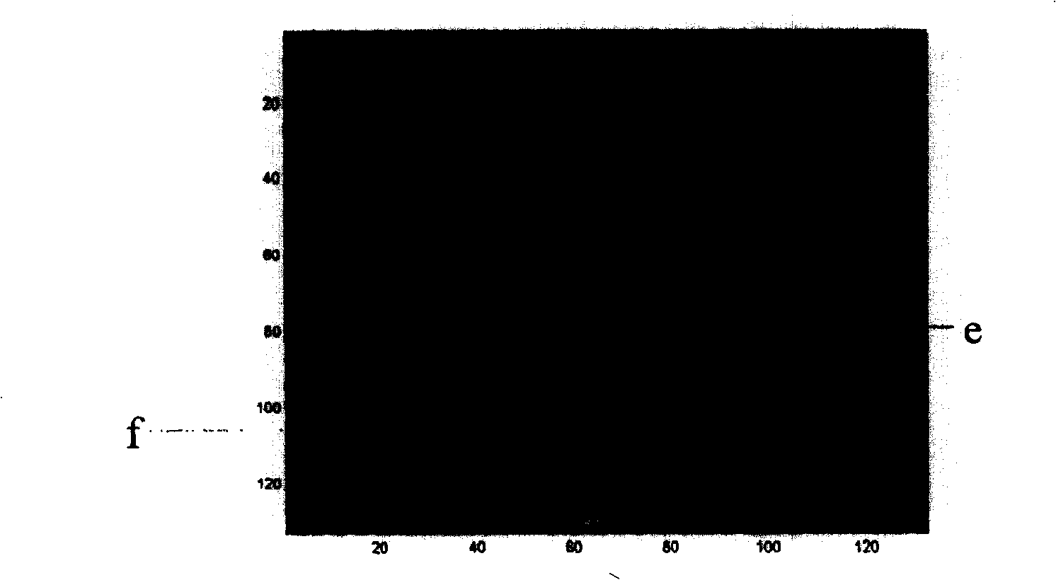 Polar coordinate converting process for estimating signal background