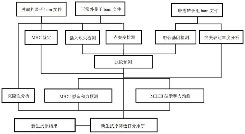 Tumor neoantigen detection method, device and storage medium based on next-generation sequencing