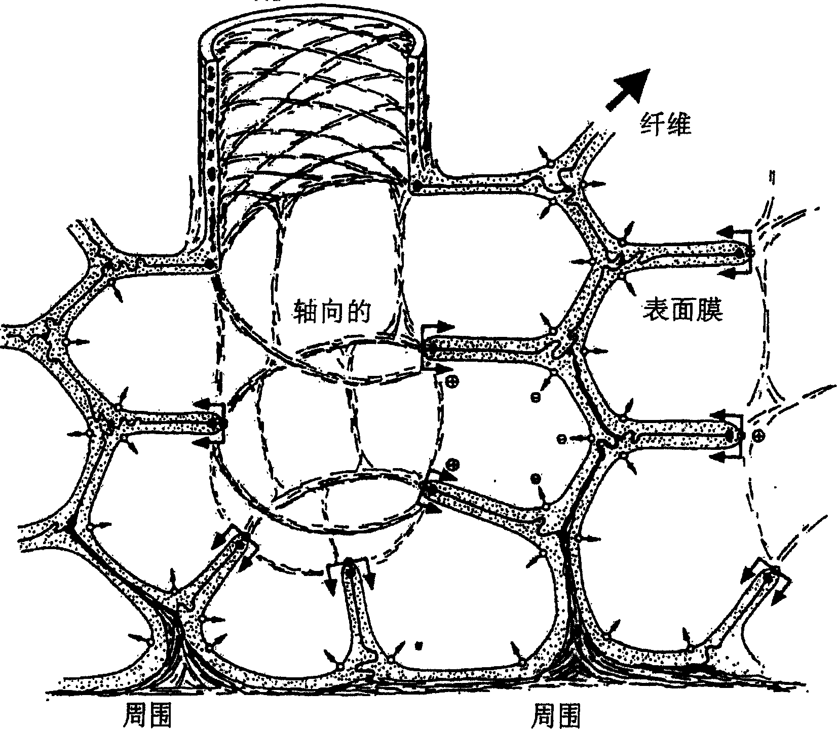 Compositions and methods for treating emphysema