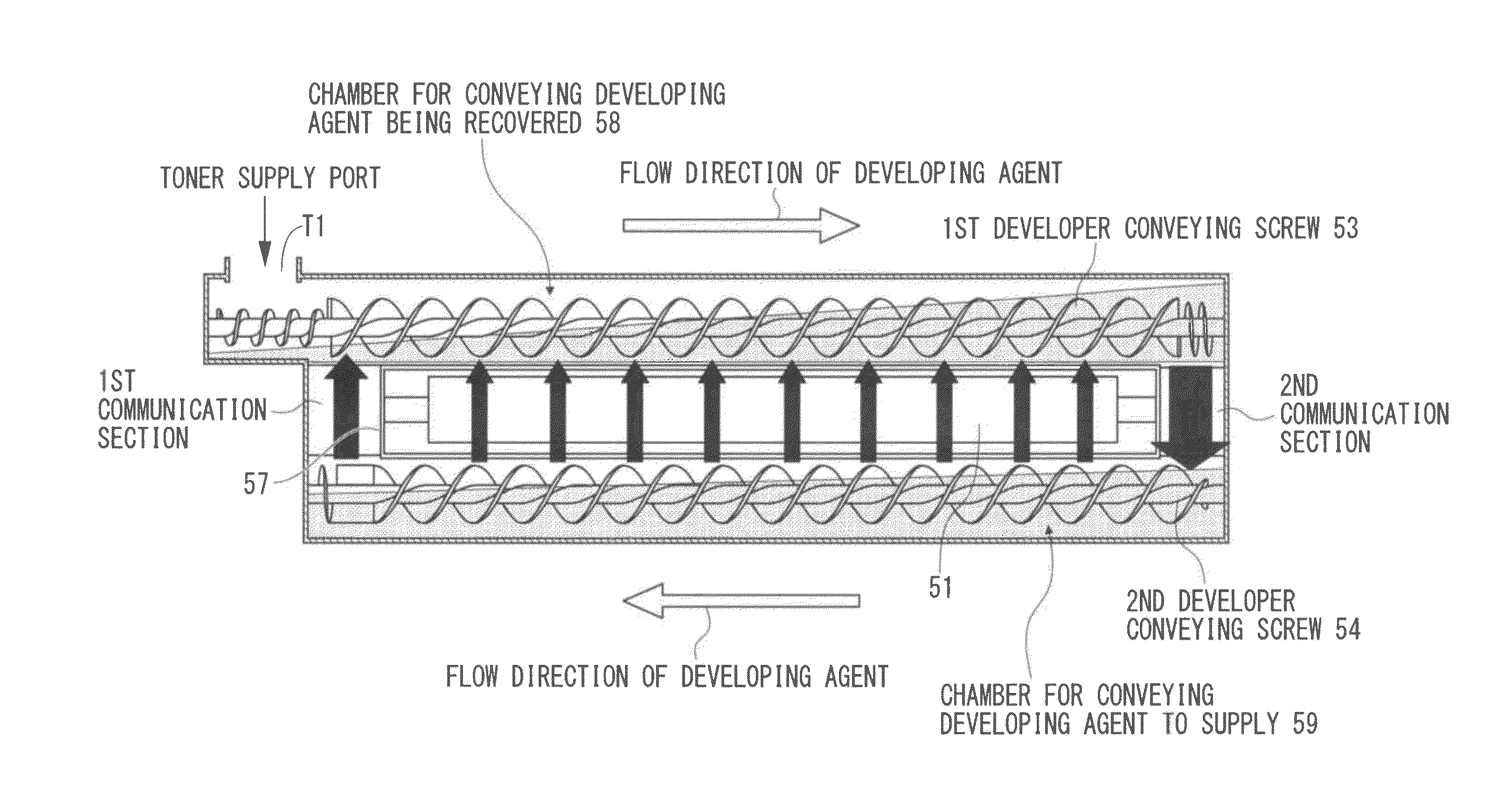 Developing device, process cartridge, and image-forming apparatus