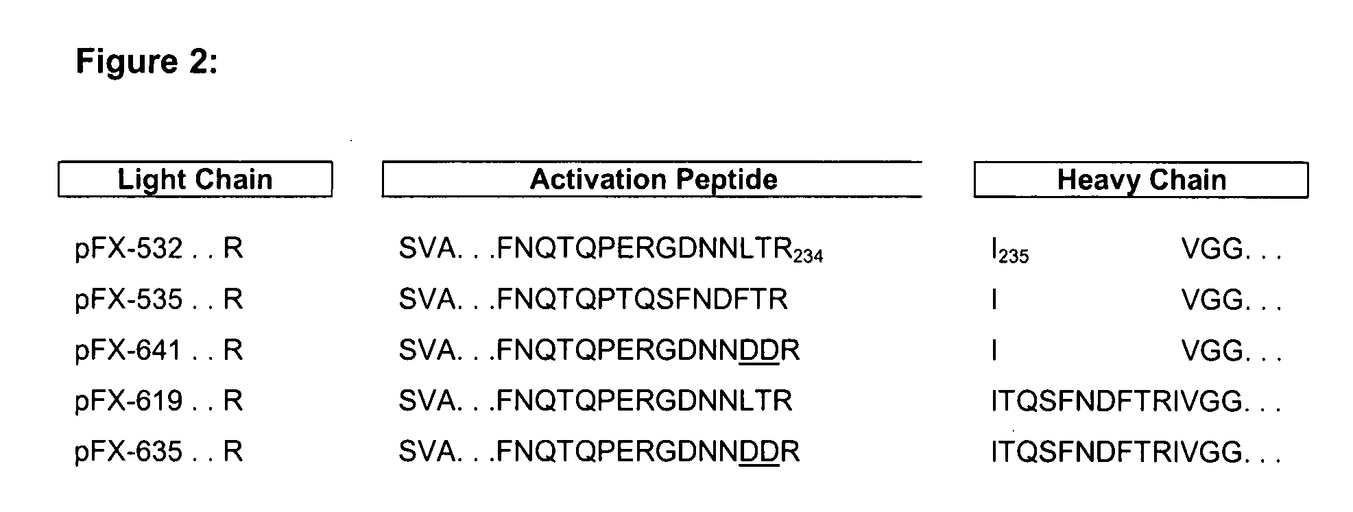 Coagulation factor x polypeptides with modified activation properties