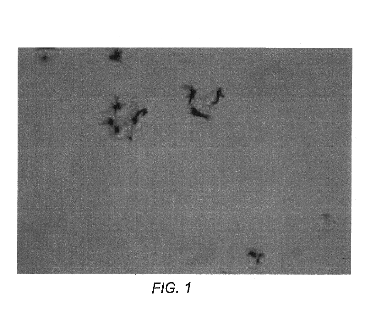 Methods and compositions for the visualization of cellular organelles using tetrazolium salts