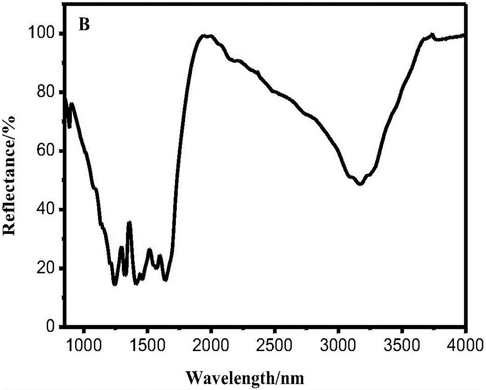 Graphite phase nitrogen carbide-chitosan modified electrode, preparation method thereof, and method using same as work electrode to detect protocatechuic acid