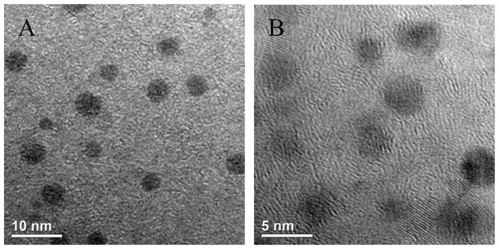 A kind of nitrogen-doped graphene quantum dot and its preparation method and application