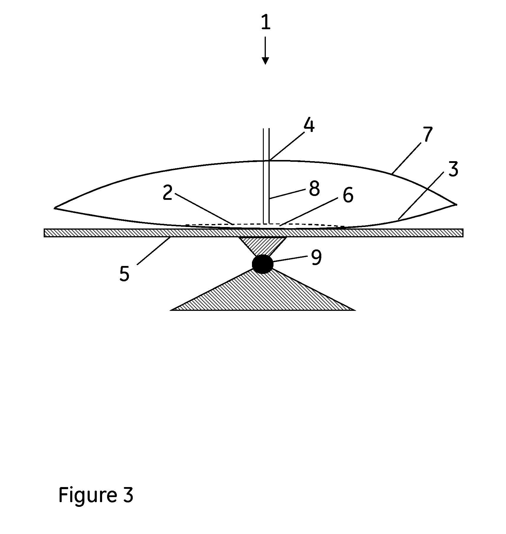 Method of cultivating cells on microcarriers in a bag