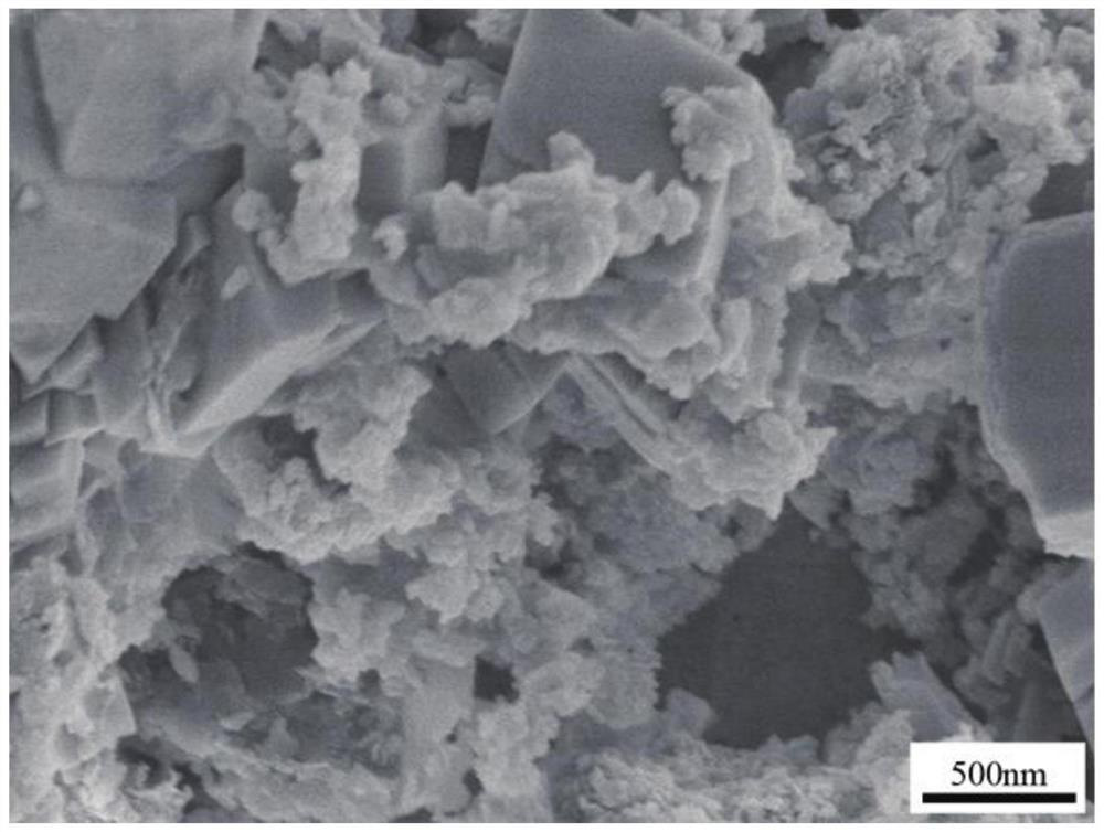 Carbon fiber-based SiO2 aerogel foam cement and preparation method thereof