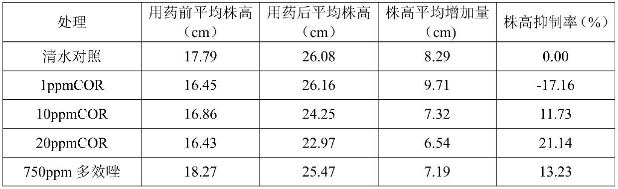 Application of coronatine in crop vigorous growth control