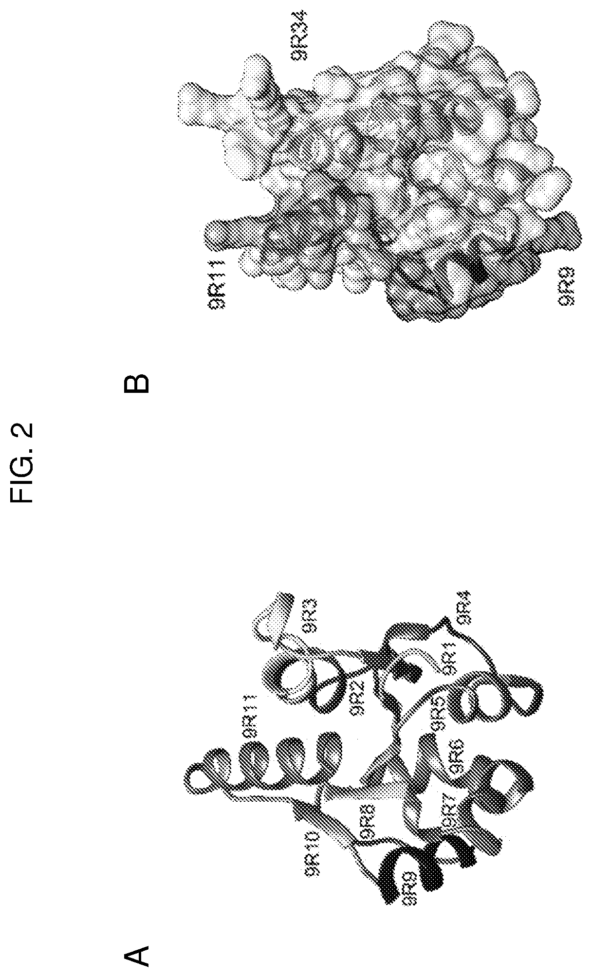 Tlr9 inhibitors to suppress inflammatory response to pathogens